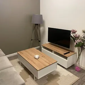 Appartement Authentique Et Calme Hypercentre Wifi Netflix, Saint-Etienne (Loire)